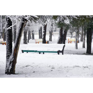 Alternative view of Karlı Park Görselli Duvar Kağıdı -159