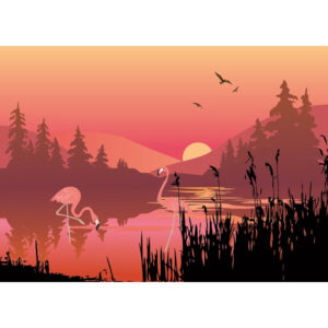 Kırmızı Kuğulu Göl Duvar Kağıdı