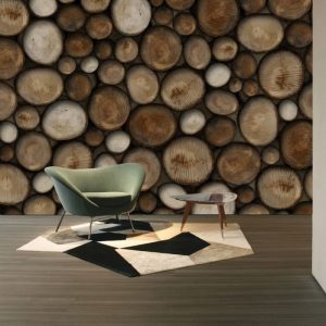 Kütük Görselli Duvar Kağıdı