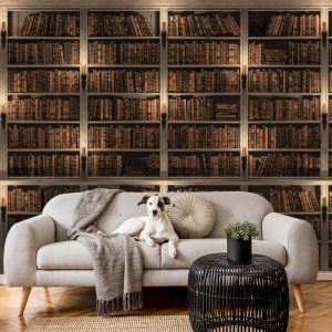 Kitaplık Görselli Duvar Kağıdı
