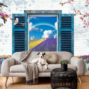 Gökkuşağı Yansımış Pencere