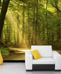 Orman İçinde Yol Görselli Duvar Kağıdı