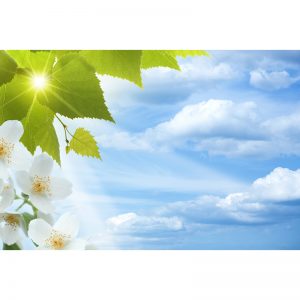 Yaprak ve Çiçekli Duvar Kağıdı