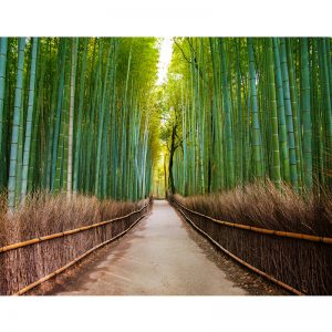 Bambu Ormanı Görselli Duvar Kağıdı