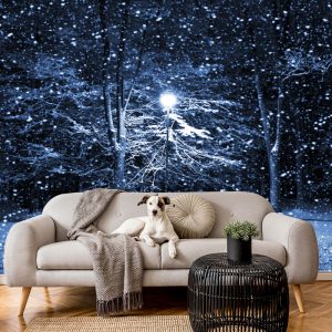 Gece Kar Yağan Sokak Lambası