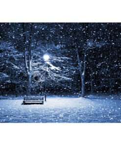 Gece Kar Yağan Sokak Lambası