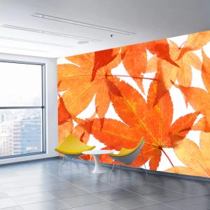 Kırmızı Çınar Yapraklı Duvar Kağıdı