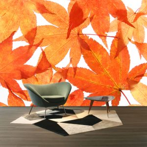 Kırmızı Çınar Yapraklı Duvar Kağıdı