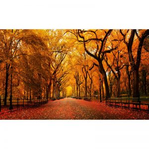 Ağaçlı Gezi Parkı Olan Duvar Kağıdı