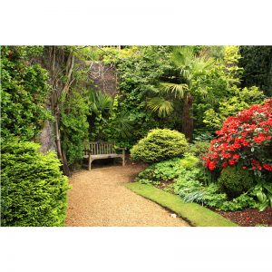 Park Görselli Duvar Kağıdı