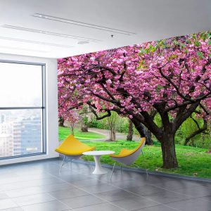 Pembe Çiçek Açmış Ağaçlar