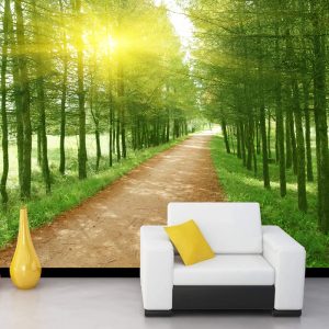 Ağaçlı Toprak Yol Görselli Duvar Kağıdı