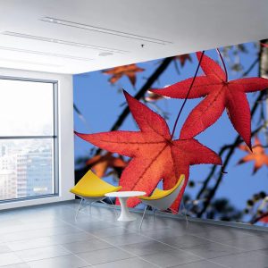 Kırmızı Yaprak Görselli Duvar Kağıdı