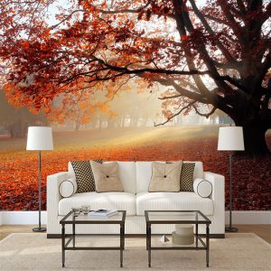 Yaprak Döken Ağaçlı Duvar Kağıdı