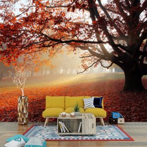 Yaprak Döken Ağaçlı Duvar Kağıdı