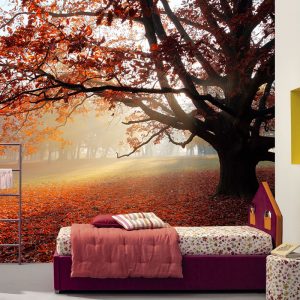 Yaprak Döken Ağaçlı Duvar Kağıdı
