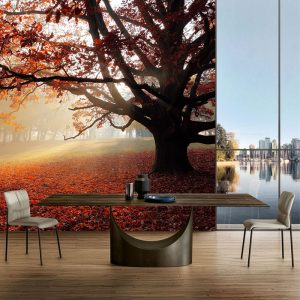 Yaprak Döken Ağaçlı Duvar Kağıdı