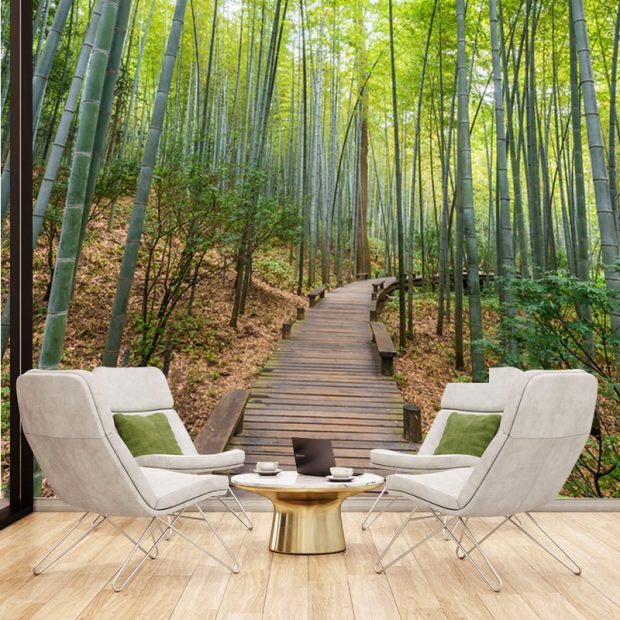 Bambu Ağaçlı Ahşap Yol Görselli Duvar Kağıdı
