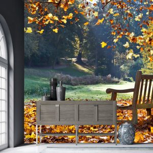 Yaprak Döken Ağaç Görselli Duvar Kağıdı