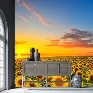 Ayçiçeği Tarlasında Gün Batımı Manzaralı Duvar Kağıdı
